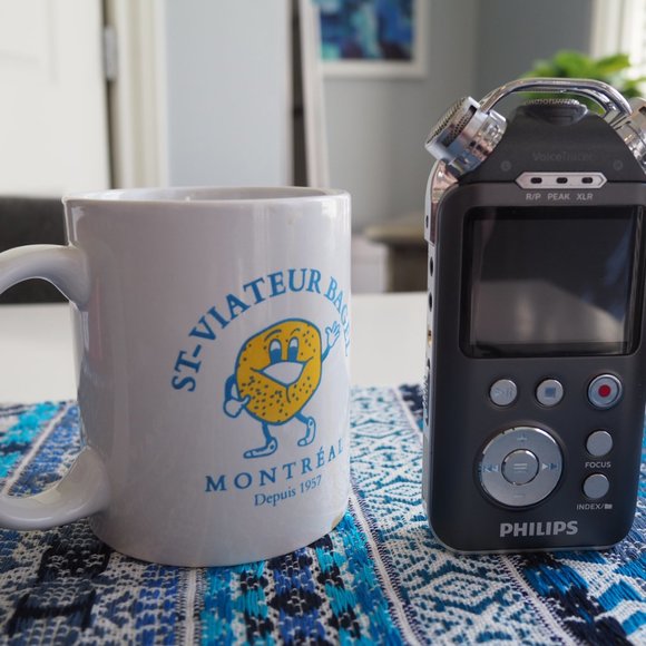 Philips VoiceTracer DVT7500 Digital Recorder for Music Recording -Discontinued! - Picture 7 of 11